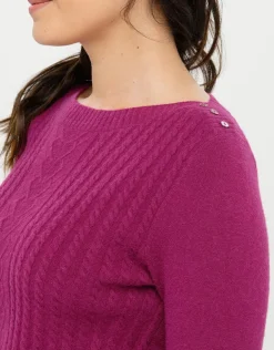 Pull col bateau prune